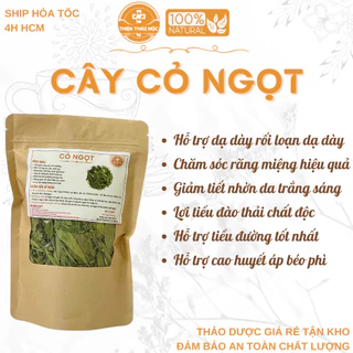 500g Cây Cỏ Ngọt Thiện Thảo Mộc (Mới, Khô, Sạch) – Hỗ Trợ Bệnh Tiểu Đường, Làm Trà Mix Các Vị Thảo Dược, Điều Hòa Đường