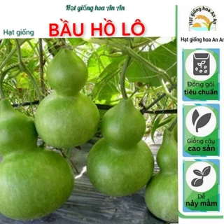 Hạt giống bầu hồ lô cao sản | Dễ chắm sóc, trồng quanh năm | Thu hoạch sau 40 ngày