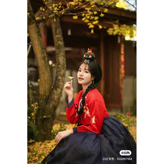 Hanbok nữ hàn quốc thêu chân váy ( sẵn )