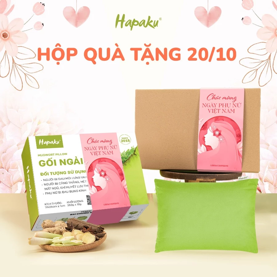 Hộp Quà Tặng Vợ, Người Yêu Ngày 20/10 Ý Nghĩa, Độc Đáo Giúp Giảm Đau Mỏi Lưng Bụng Từ Hapaku