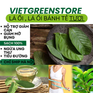 Trà lá ổi Tươi hỗ trợ giảm cân hiệu quả ,1 KG trà lá ổi tươi SẠCH giảm mỡ bụng, hỗ trợ sức khỏe ,trà ngăn ngừa bệnh