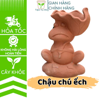 Chậu đất nung trồng sen đá xương rồng hình con ếch che lá sen đất nung Tiệm To