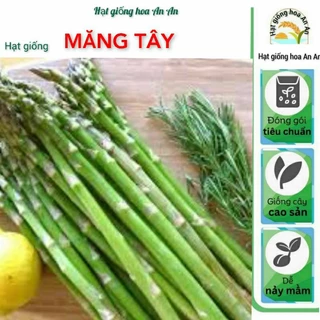 [ TOP BÁN CHẠY ] Hạt giống măng tây xanh, Hàng công ty chính hãng