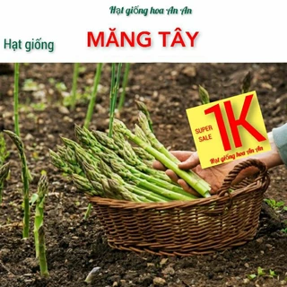 DEAL 1K- Hạt giống măng tây, độ thuần:>99%, trồng quanh năm, xuất xứ: Việt Nam