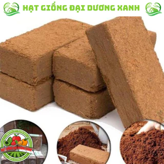 [10 VIÊN] Đất trồng dạng Viên nén xơ dừa 500g + TẶNG 5 GÓI HẠT GIỐNG