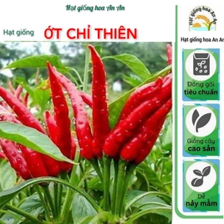 (Gói 50 Hạt)-Hạt Giống Ớt Chỉ Thiên F1 Siêu Cay | Tỷ lệ nảy mầm cao