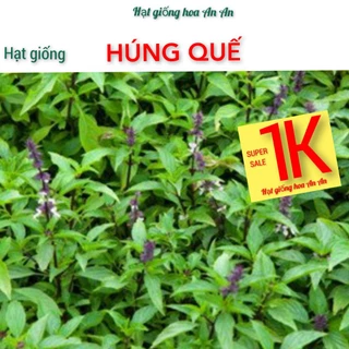 DEAL 1K- Hạt giống Húng quế ( húng chó), hàng chính hãng tách đóng gói nhỏ.