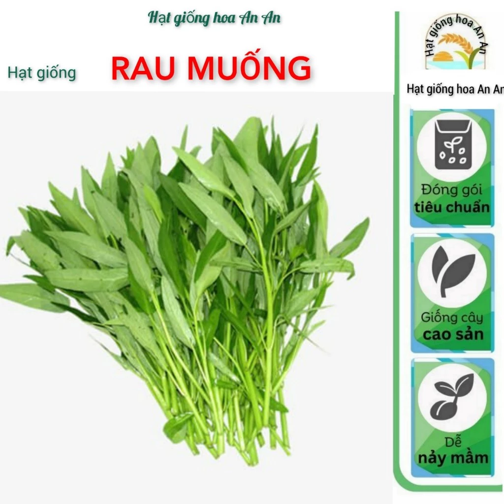 [TOP BÁN CHẠY] -Hạt giống rau muống lá tre hàng chính hãng công ty- Tỷ lệ nảy mầm > 90%