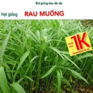 DEAL 1K- 50 Hạt giổng rau muống , độ thuần:>99%, Hàng chính hãng công ty, tỷ lệ nảy mầm:>90%