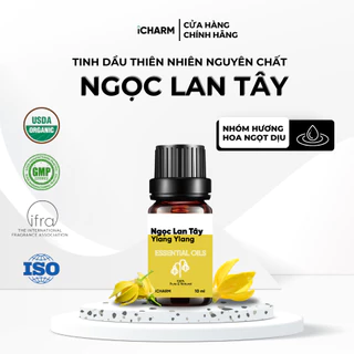 Tinh dầu ngọc lan tây xông phòng 10ml, 50ml iCHARM - Tinh dầu thiên nhiên nguyên chất, Không pha