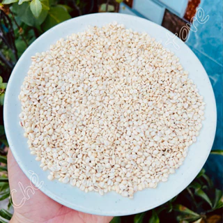 Hạt bo bo 100g nấu chè sâm bổ lượng