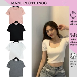 Áo thun  baby tee Basic Trơn ôm body 4 màu tăm lạnh free size women Top_MANE