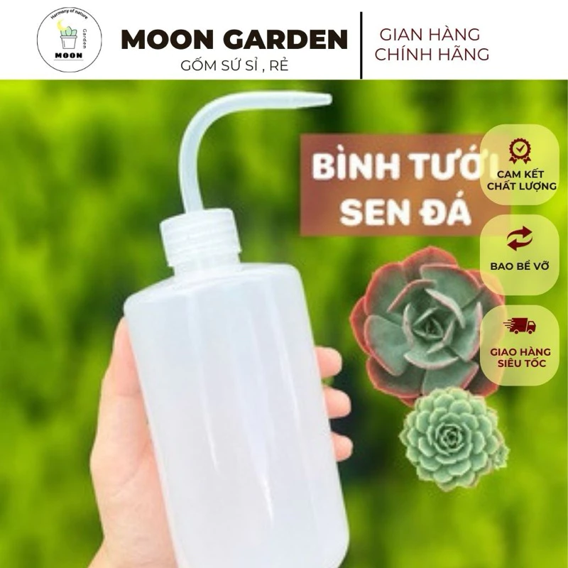 Bình tưới vòi cong, chuyên dùng tưới gốc sen đá - không thể thiếu cho sen mới trồng