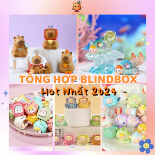 Tổng hợp·Blind Box/ hộp mù nhiều seri xinh xắn, sưu tầm quà tặng(mẫu ngẫu nhiên)