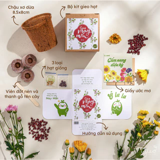 Bộ kit trồng cây Gieo Ô-Seed - Hạt đậu đỏ - Gieo May Mắn