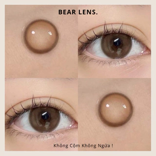 [CÓ CẬN] BEAR LENS Kính Áp Tròng Nâu Giãn 316 Brown Lens Nâu [Giá 1 Cặp - Tặng Kèm Khay Đơn Đựng Lens]