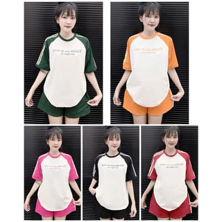 Sét Bộ Đùi Nữ Free Size Form Rộng Chất Cotton Su Thấm Hút Mồ Hôi_Noublie