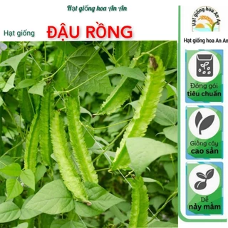 Hạt giống đậu rồng ( đậu khế) cao sản 10 gram | Tỷ lệ nảy mầm cao | Mua 3 tặng 1 cùng loại