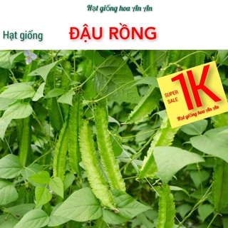 DEAL 1K Hạt giống đậu rồng ( đậu khế), độ thuần:>99%, tỷ lệ nảy mầm:>90%, xuất xứ: Việt Nam