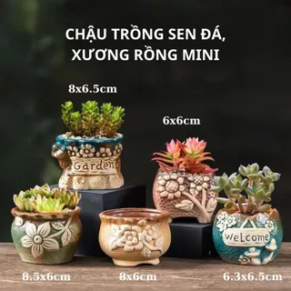 Chậu Trồng Cây Mini Gốm Sứ Họa Tiết Giả Cổ Thích Hợp Trồng Sen Đá, Xương Rồng Trang Trí Bàn Làm Việc