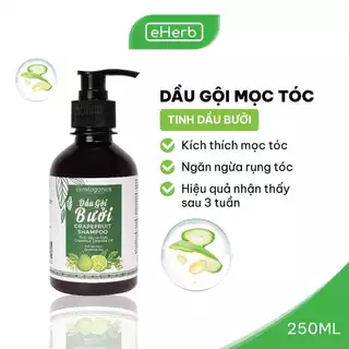 Dầu Gội Tinh Dầu Bưởi Ngăn Ngừa Rụng, Mọc Tóc Hiệu Quả Từ 3 Tuần MILAGANICS 250ml (Chai)