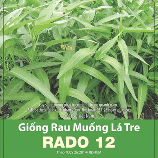 Rau muống lá tre Rado 12