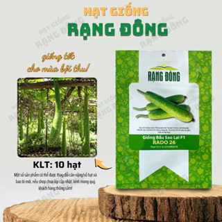 Hạt giống bầu sao lai Rado 26