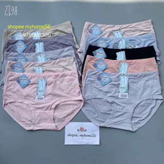 [BÁN SỈ] 10 quần lót cạp cao cotton lạnh siêu mềm,siêu mát 1006