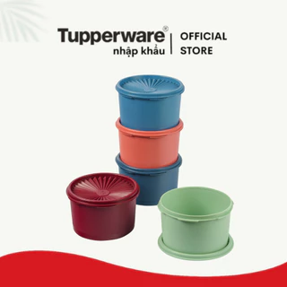 Bộ Hộp BQTP MIDI DECO (5) 1Lít Tupperware kín mùi kín nước - Chính hãng nắp dễ đóng bảo hành trọn đời