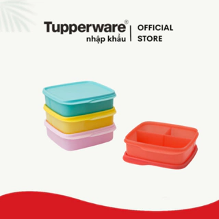 Hộp cơm chia ngăn Tupperware chính hãng 550ml LOLLY TUP chia 3 ngăn nhựa nguyên sinh an toàn sức khỏe