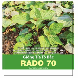 [Seeds] Hạt giống rau tía tô Bắc RD70, gói 2gr