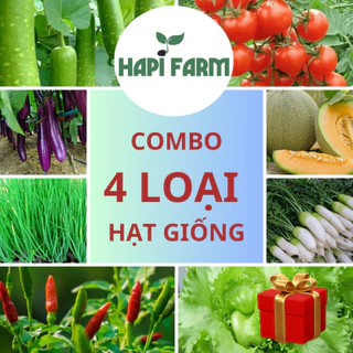 Combo 4 loại hạt giống rau củ quả dễ trồng, trồng quanh năm