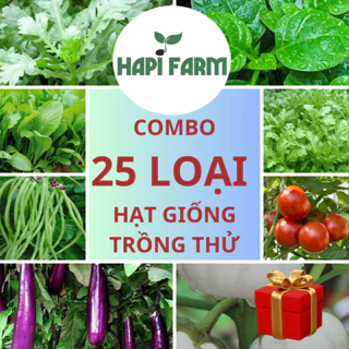 Combo 25 loại hạt giống rau củ quả trồng thử sân thượng, thùng xốp tiết kiệm