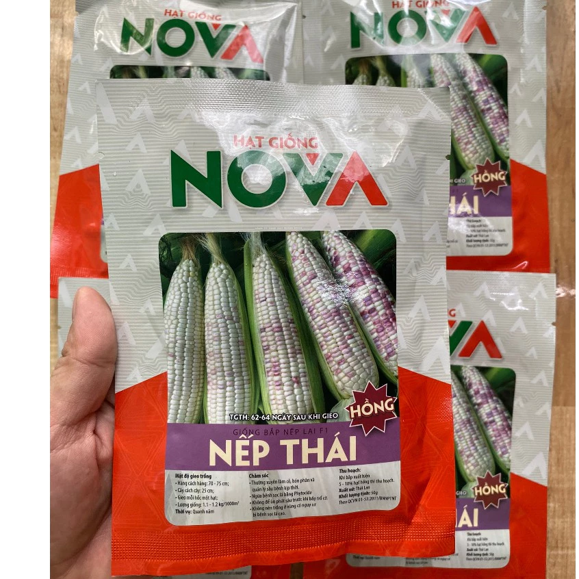 Hạt giống ngô nếp thái hồng NOVA-gói 50gram-tặng kèm phân