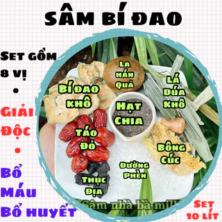 Sâm Bí Đao Bông Cúc Hạt Chia Thơm Ngon, Thanh Nhiệt, Giải Độc 1 Set 10 Lít