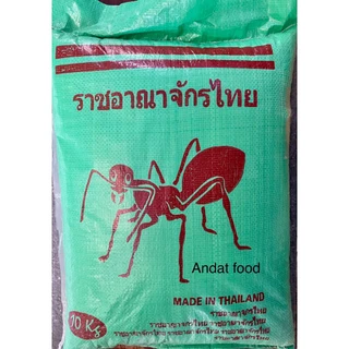 Gạo Thái Kiến Xanh xịn - 24.000đ/1kg