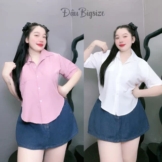 Áo Sơ Mi Kiểu Nhiều Màu Trendy Tay Ngắn Bigsize Nữ Chất Vải Cotton Lạnh Trơn Mịn Ít Nhăn SM159