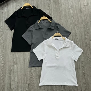 Áo thun polo bigsize nữ vải borip thái màu basic tay ngắn cổ bẻ nữ tính cho nàng chubby (CÓ BIGSIZE) - ACB