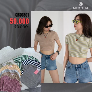 MIDDUA -CRS0801 Crop ôm sọc cổ tròn