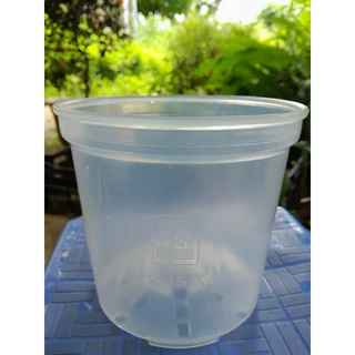 Chậu nhựa trong 14x15 (cm) Thakico