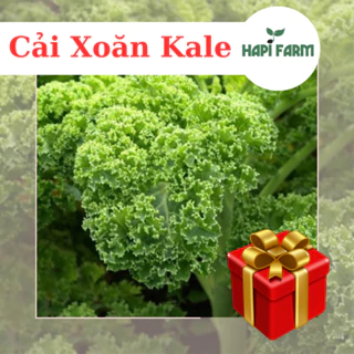 Hạt Giống Rau Cải Xoăn Kale (2gr)