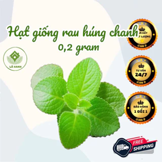 Hạt Giống Húng Chanh Gói 0.2gr