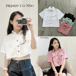 Áo Sơ Mi Kiểu Dáng Croptop Bigsize Nữ 50-95kg Lên Phom Cá Tính Vải Lụa Chéo Ít Nhắn Cho Các Nàng Chubby SM169