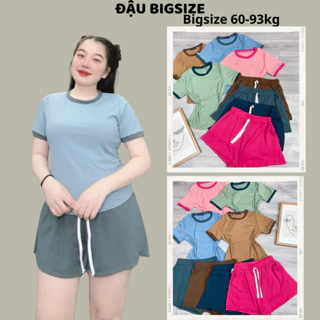 Set đồ bigsize nữ áo tay ngắn cổ tròn kèm quần đùi ống rộng lưng thun co giãn chất gân tăm mềm mịn - SET11