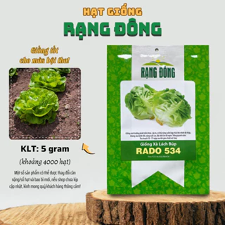 Hạt giống Xà Lách Búp Rado 534 (5g~4000 hạt) nảy mầm tốt, giòn ngọt, dễ chăm - Hạt giống Rạng Đông