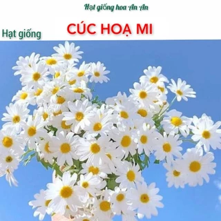 Đủ các loai hoa- [ Gói 200 hạt] Hạt giống Hoa Cúc Họa Mi - Hoa trồng chậu, mùa vụ quanh năm.