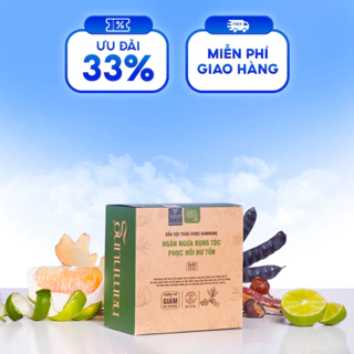 Túi REFILL dầu gội thảo dược bồ kết hà thủ ô chanh gừng bưởi NAMNUNG 500ml