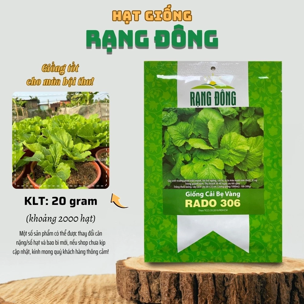 Hạt giống Cải Bẹ Vàng Rado 306 (20g~2000 hạt) cây to, mập, dễ trồng quanh năm - Hạt giống Rạng Đông