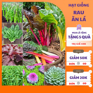 Hạt Giống Rau Ăn Lá Trồng Mùa Hè 🌱 𝙁𝙍𝙀𝙀 𝙎𝙃𝙄𝙋 🌱 Hạt Giống Rau Cải, Hạt Giống Rau Muống, Rau Mùng Tơi Trồng Mùa Hè