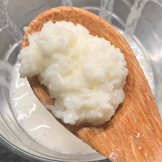 Nấm sữa Kefir làm sữa chua Kefir(100% thành công)